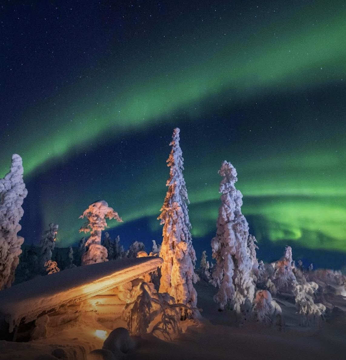 Arctic TreeHouse Hotel 5